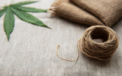 CHEF DE PROJETS CHANVRE TEXTILE (H / F)