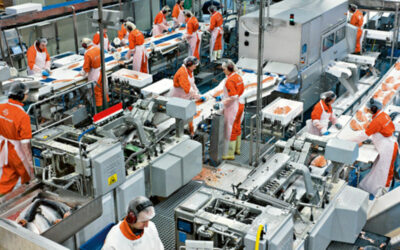 Directeur de Production (H/F)